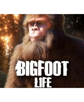 Bigfoot Life Steam Key 101